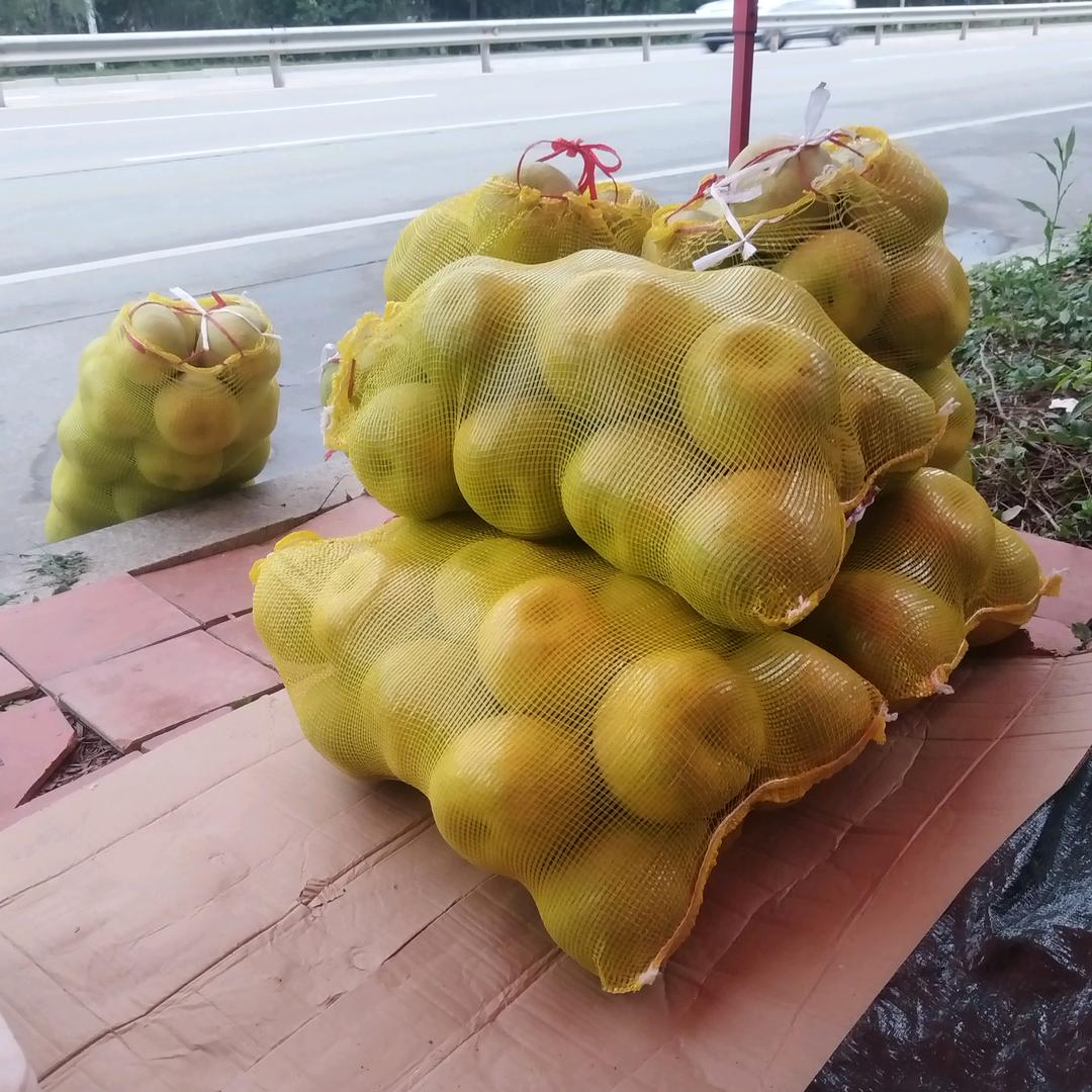 爱心.收养