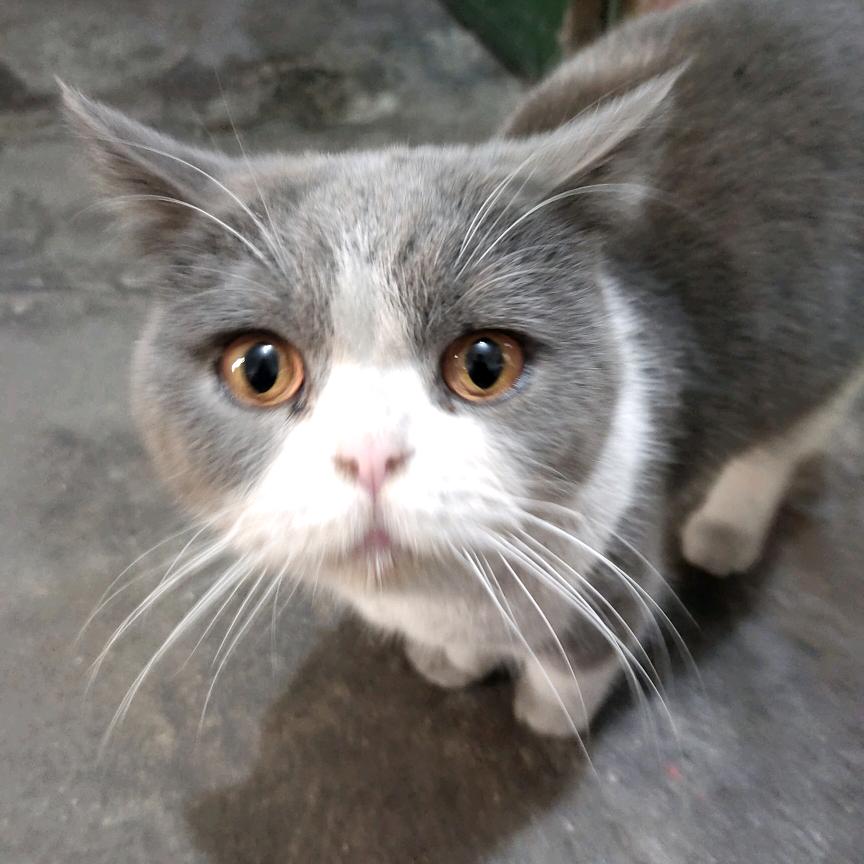 找对象