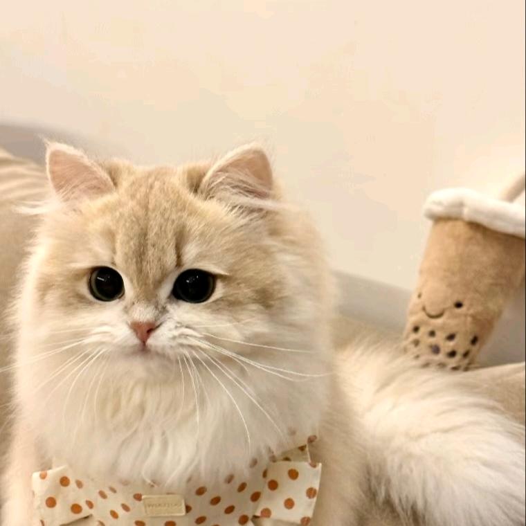 🧸熊