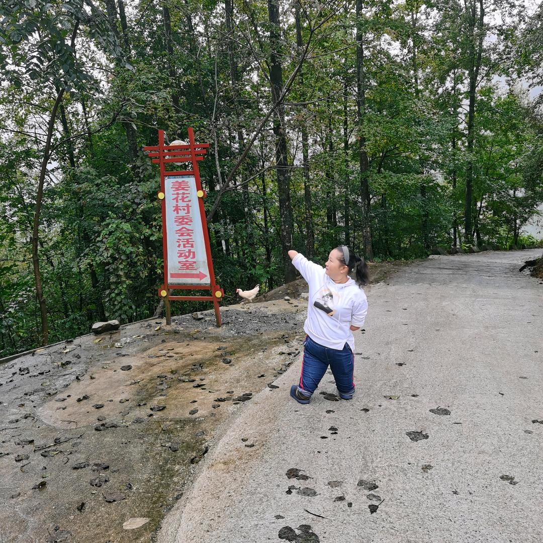 朴实无华（聂姐）