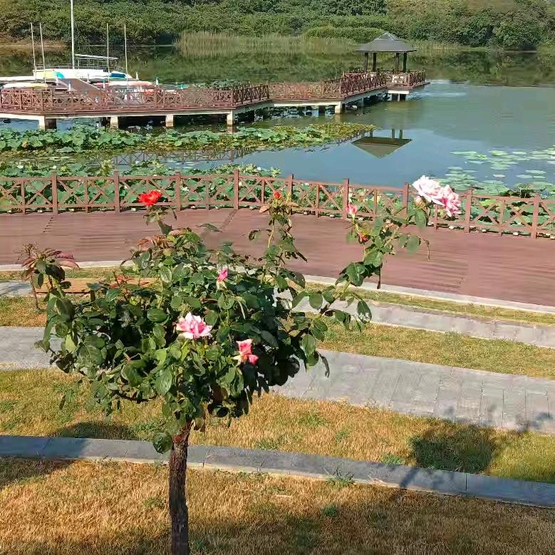 汝南NZL大流量套餐宽带