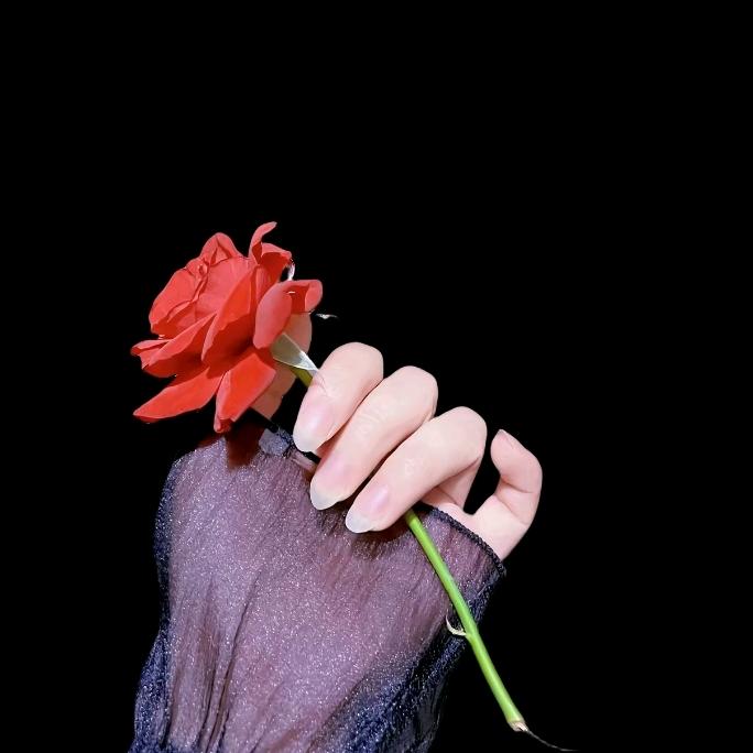 琴二🌺