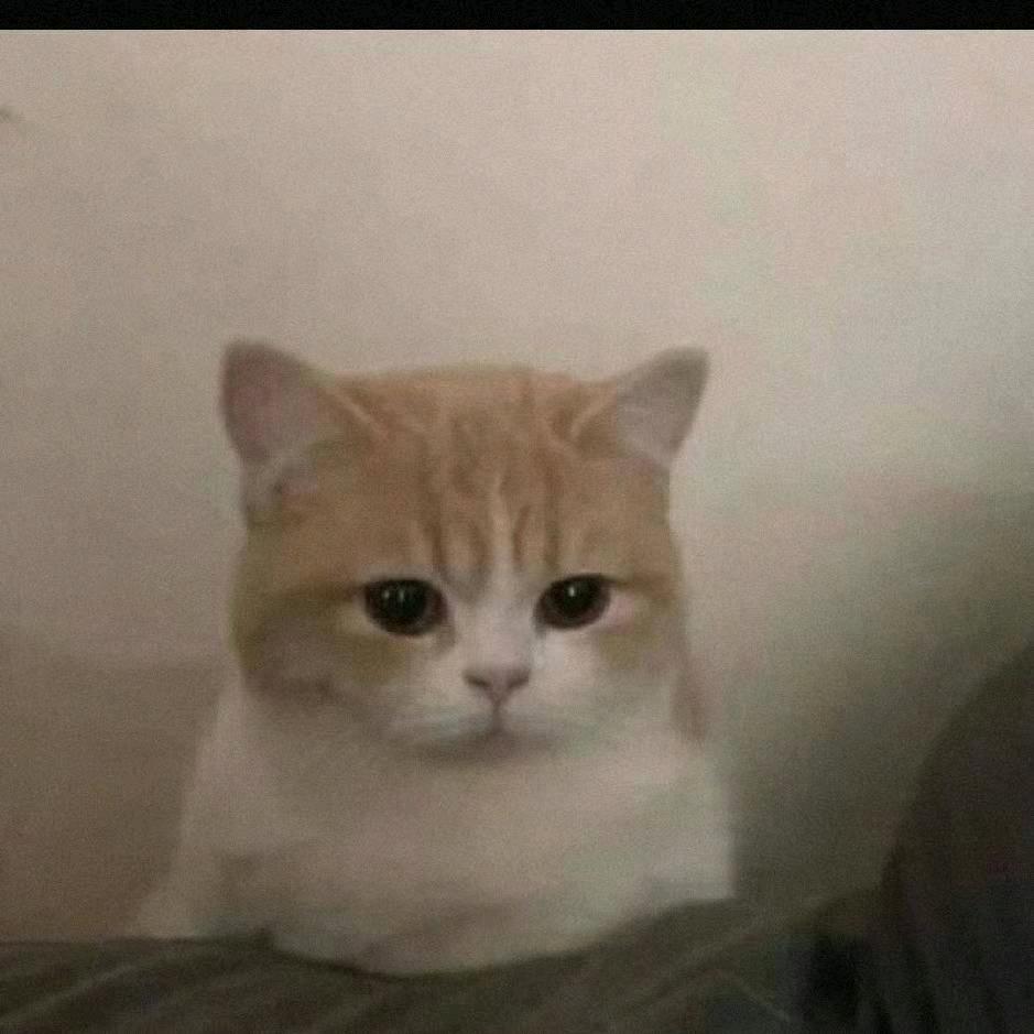 嘤嘤嘤