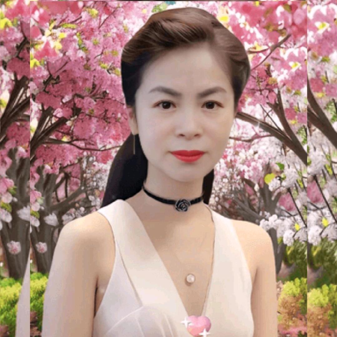 莉莉莉