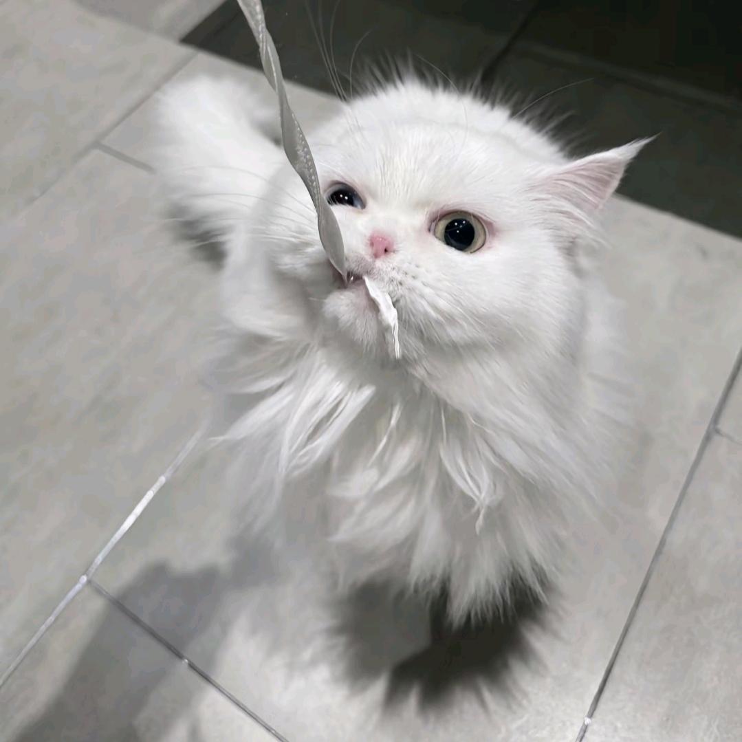 小酒蜗