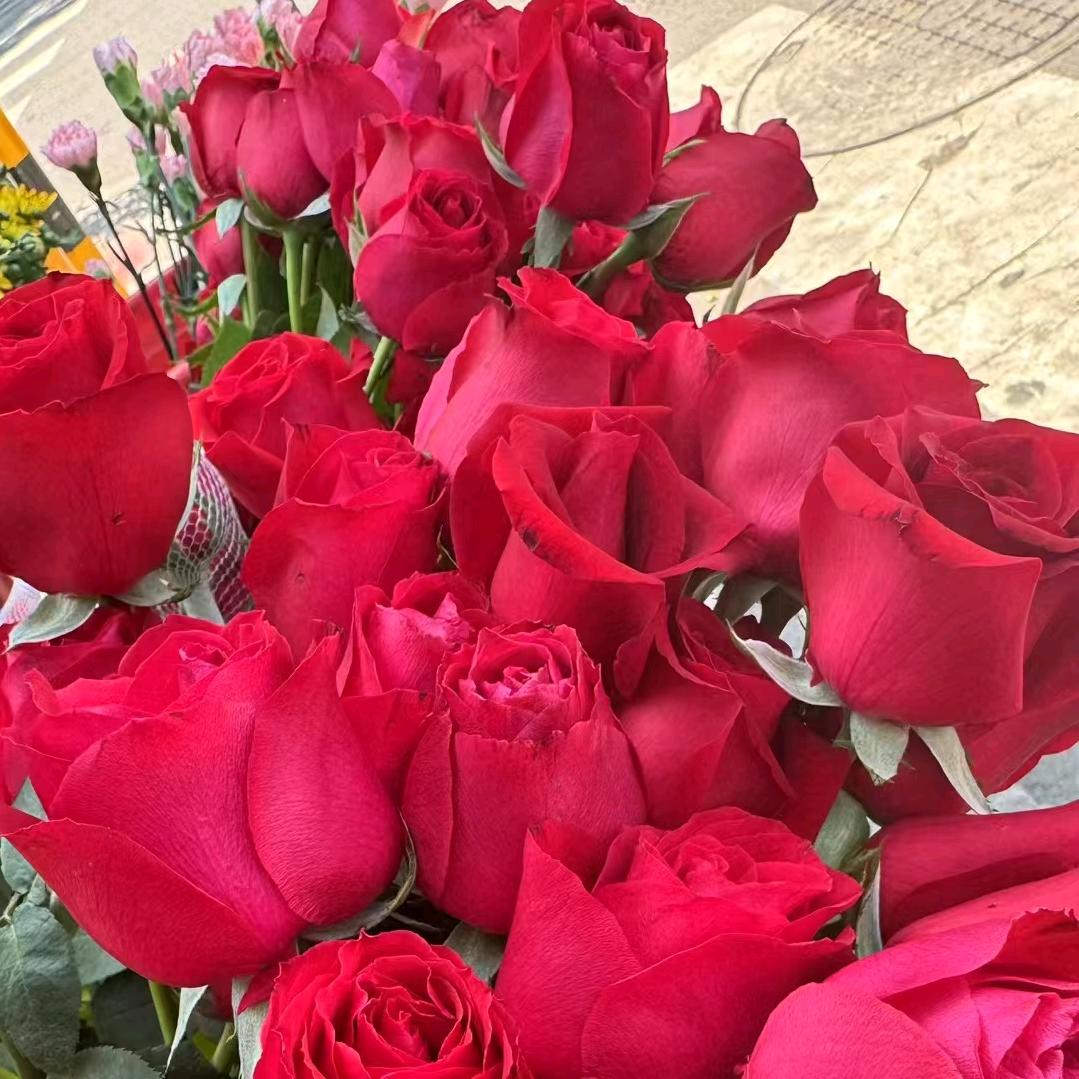 苹果开花满堂红