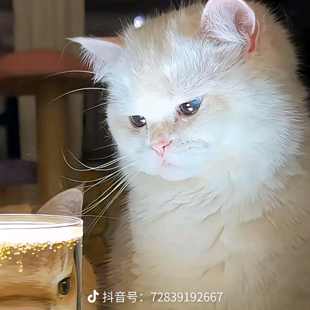 泡泡的小小星球☀️