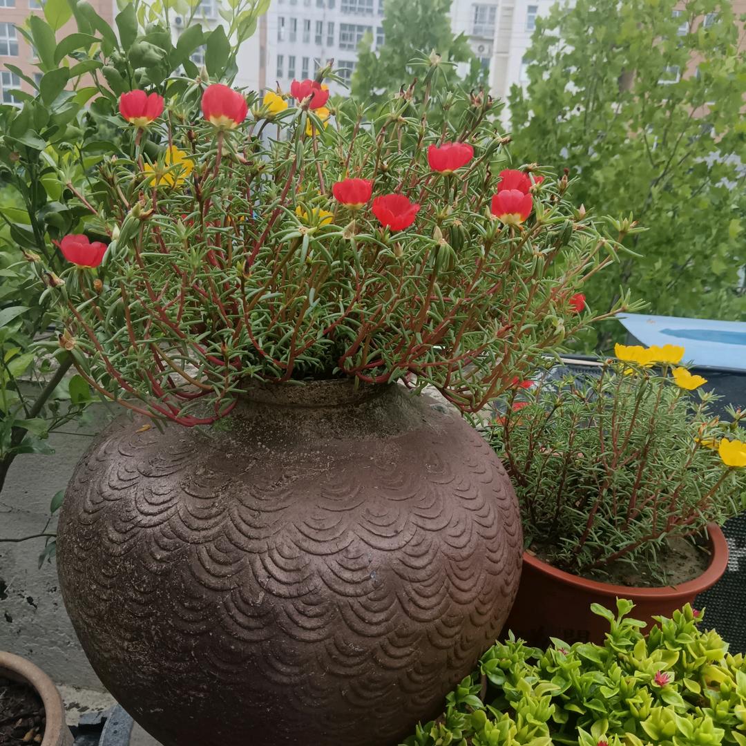 从头来过