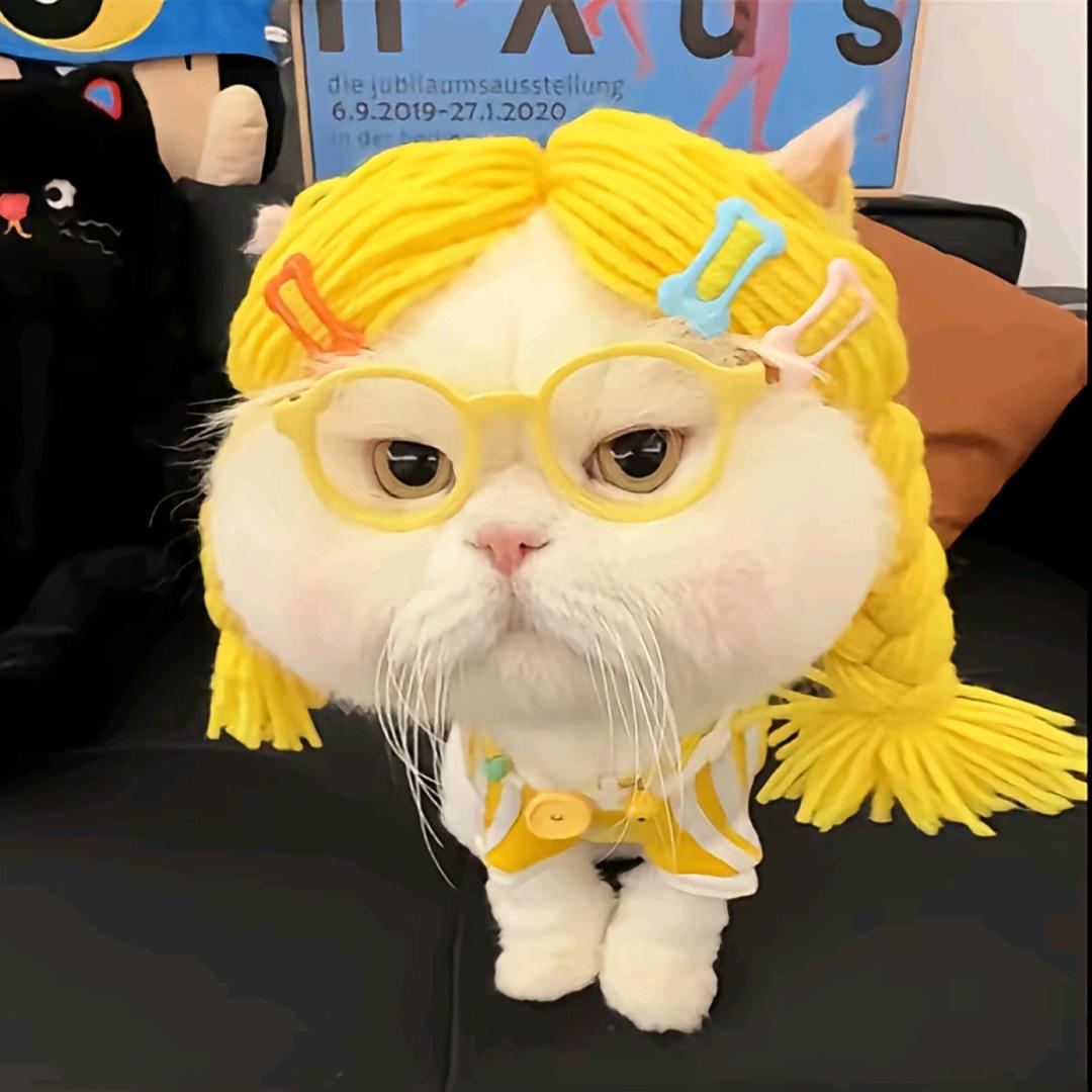 不减到110不改名（减肥版）