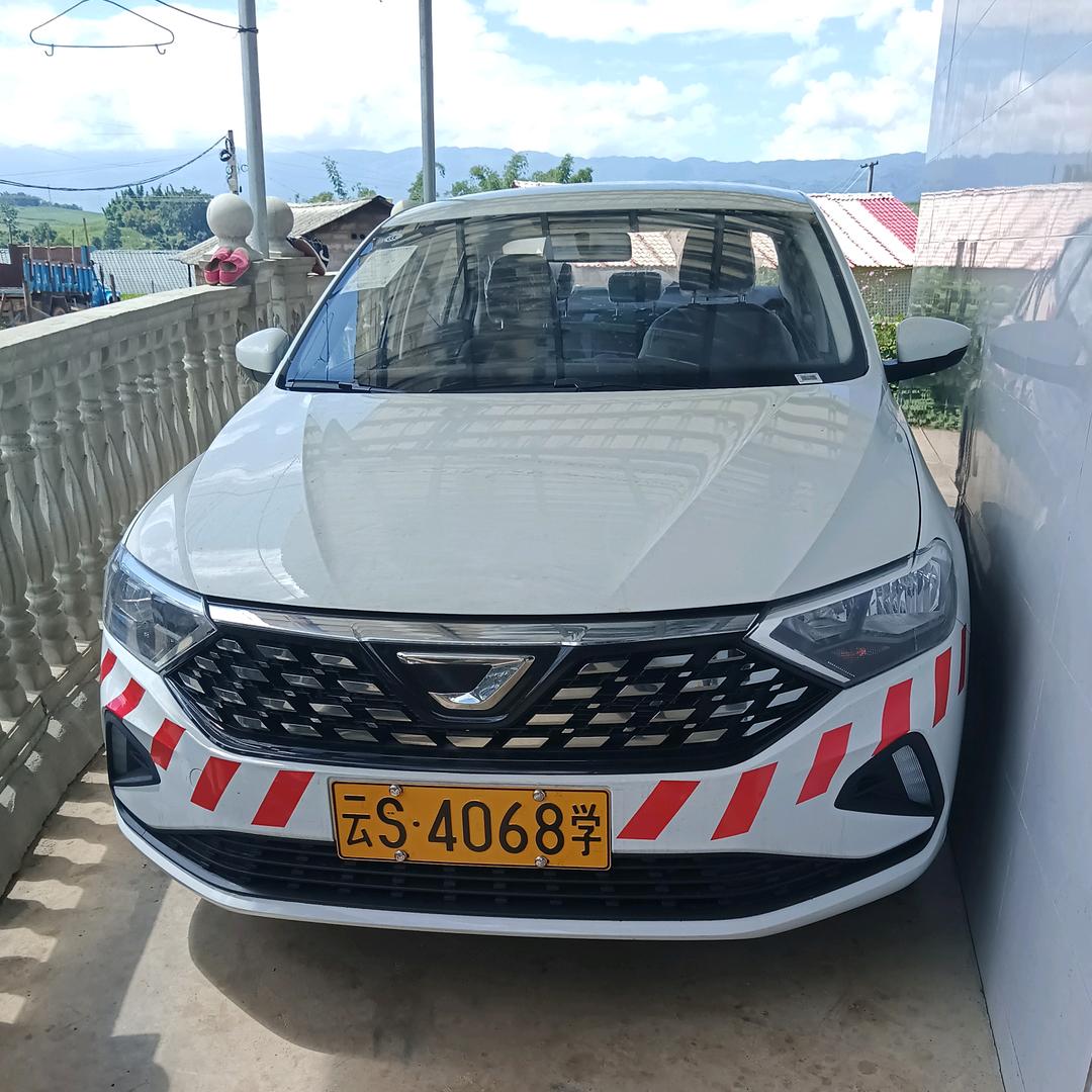 双缅树  云S3611 云S4068