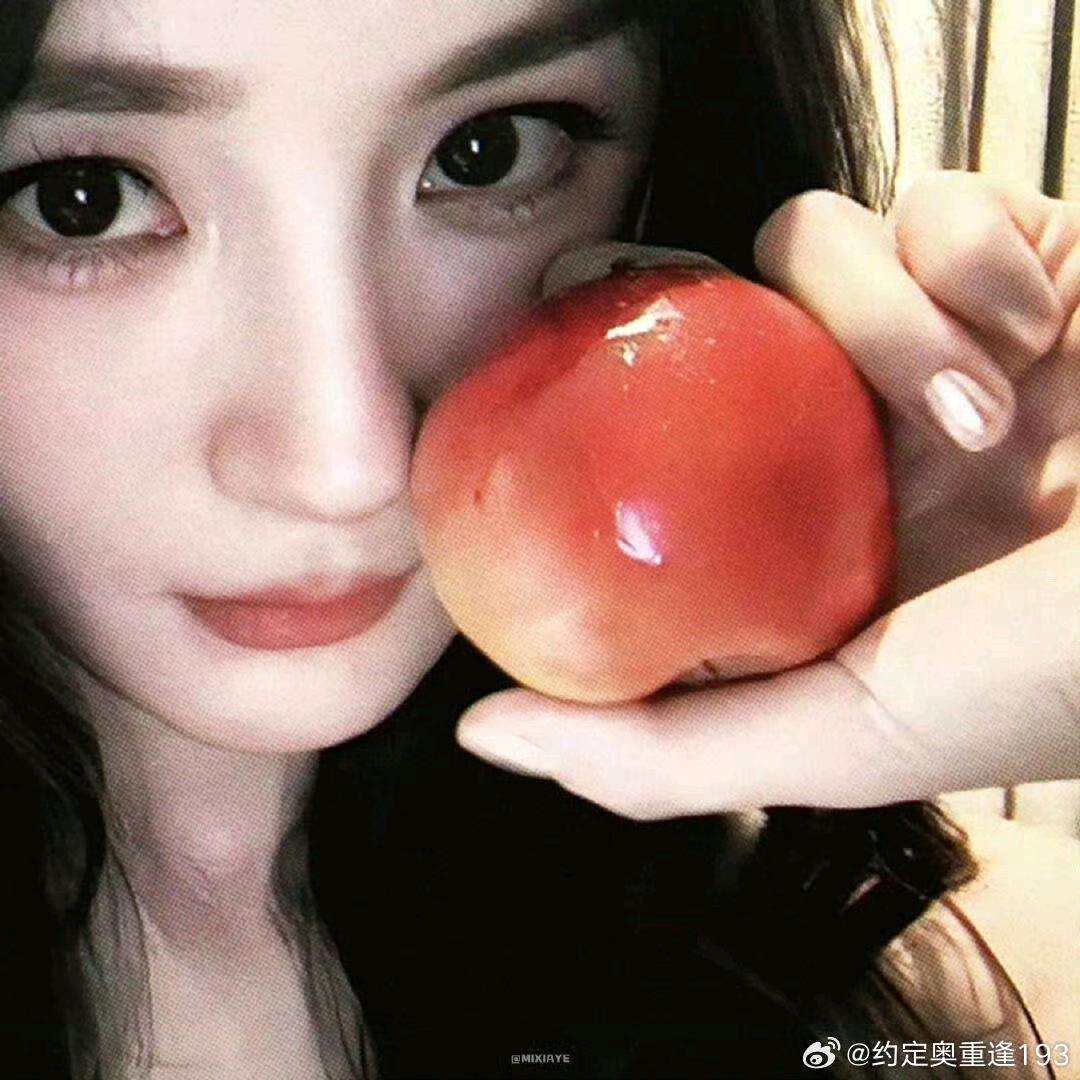 养猫的狐狸💙（发财版）