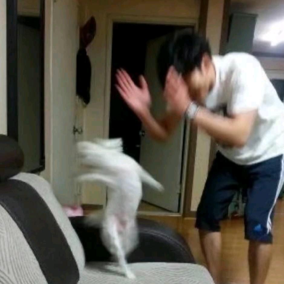 飞房客