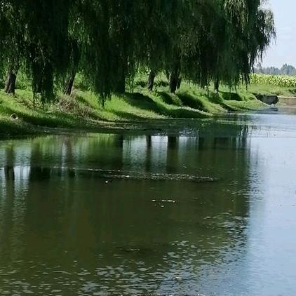 回头是岸