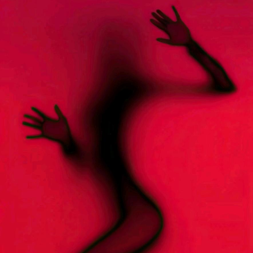 平时只吃鱼头🐟🐟