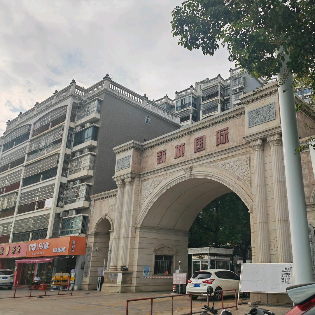 龙行天下