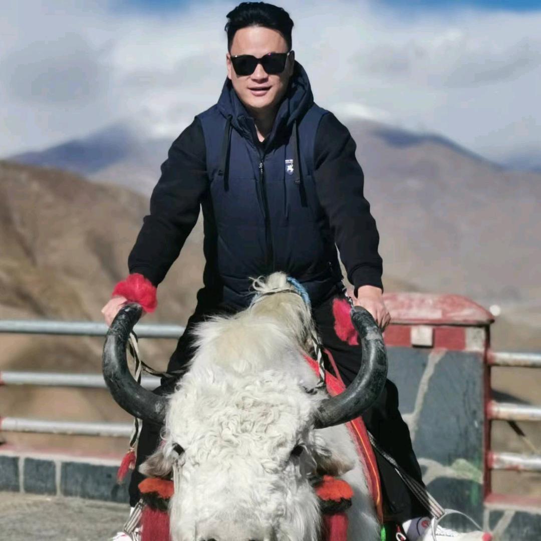 上海-老白（清货版）