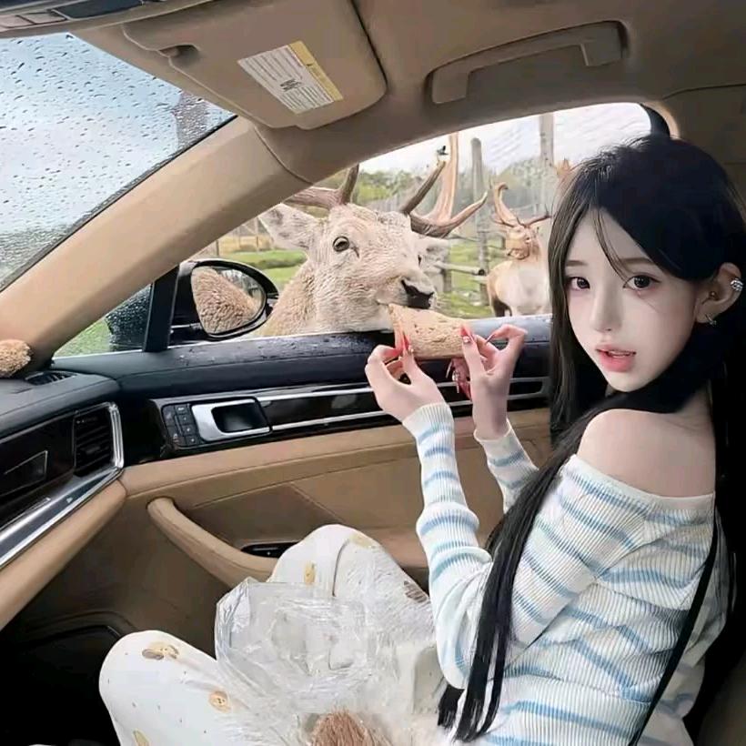 喜欢我的都是中国人