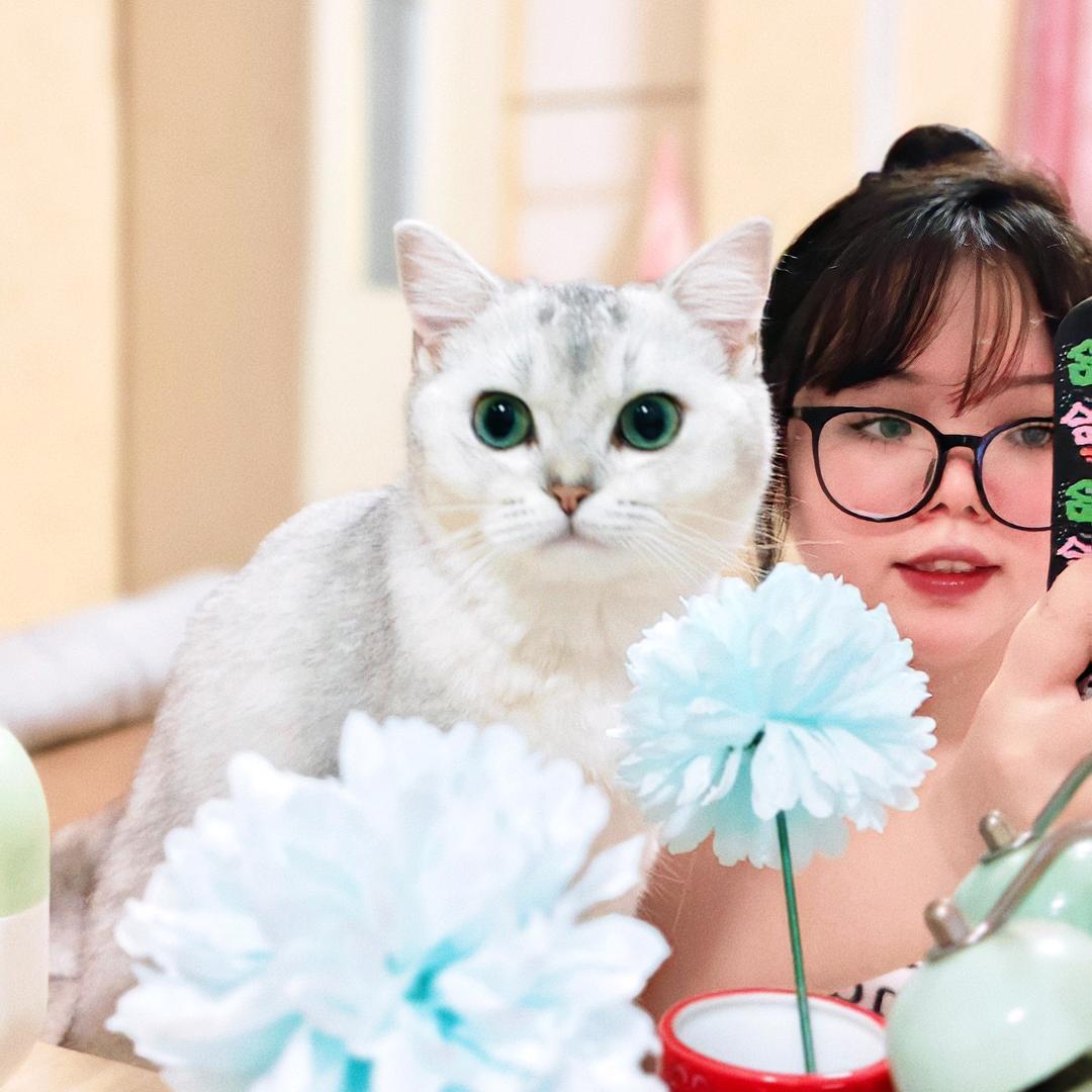妞妞是只CAT.🐱