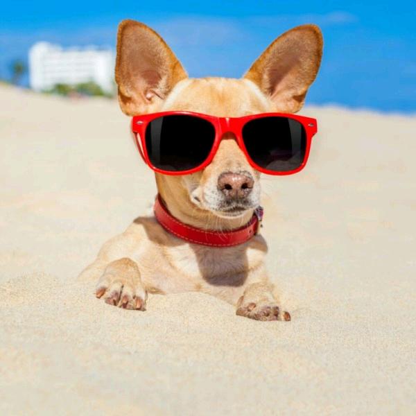 🌅旷野的风🌌