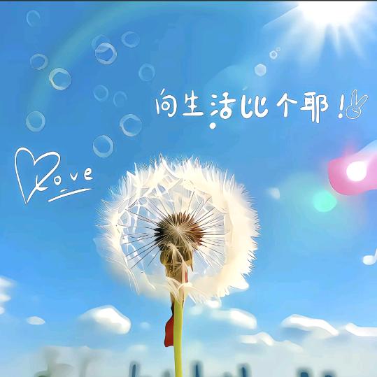 🍀未来可期🌻