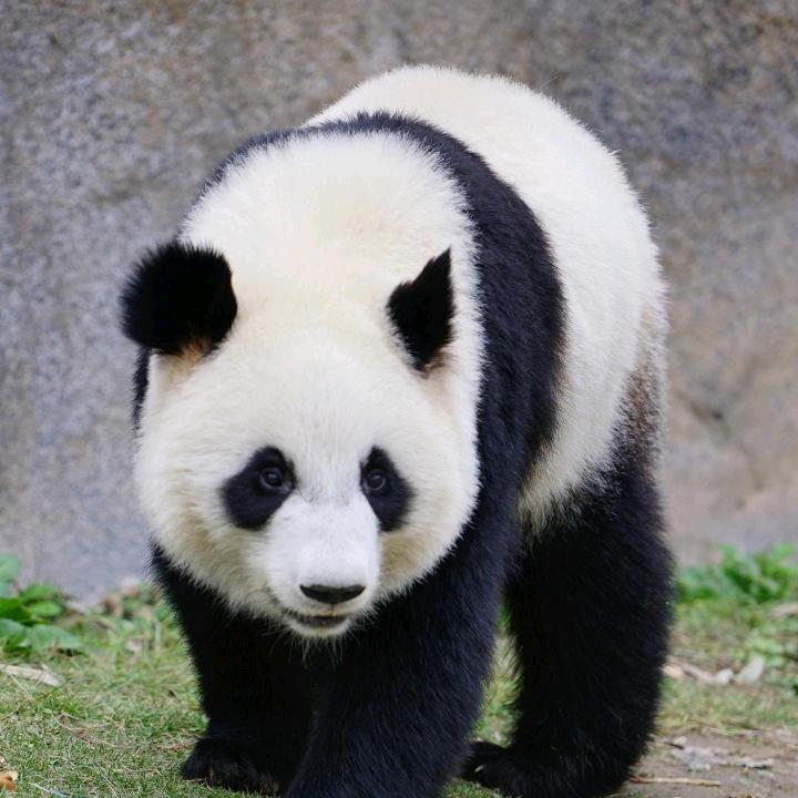 我姓李，风生水起