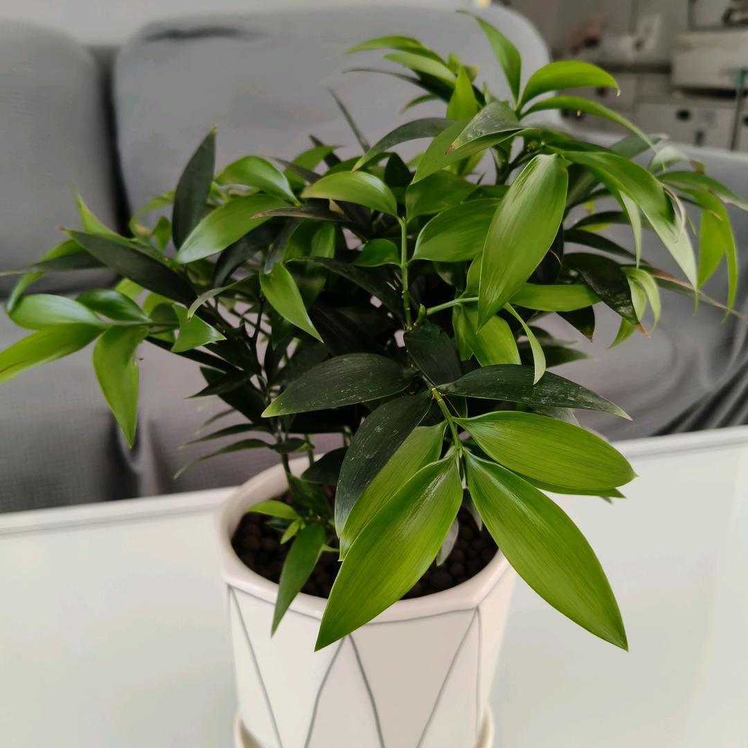 随心所欲