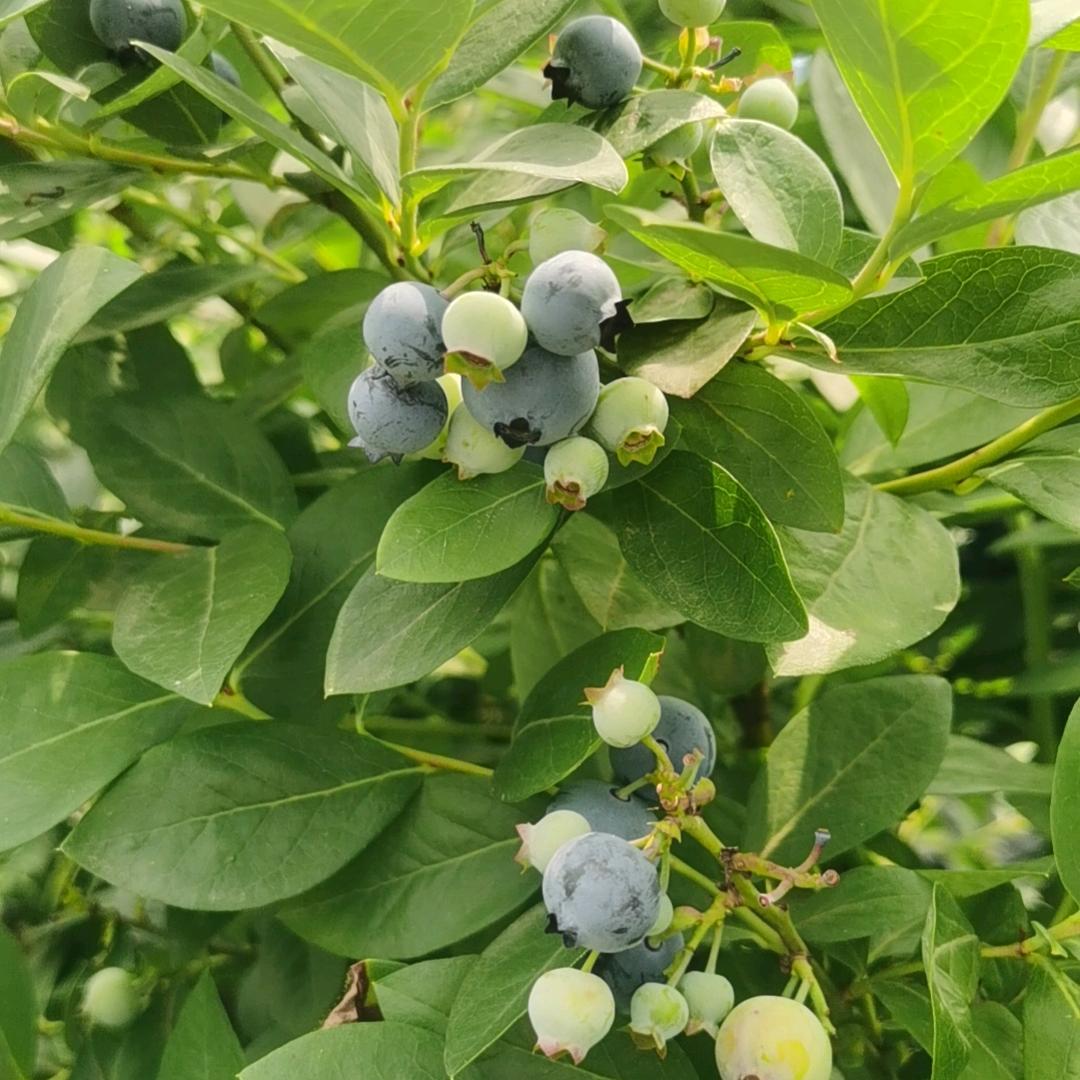 牧潼奶奶