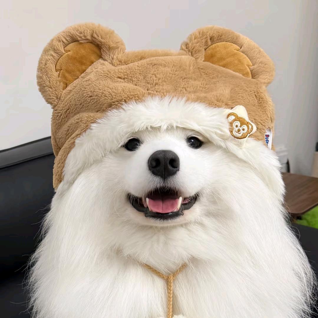常㳊