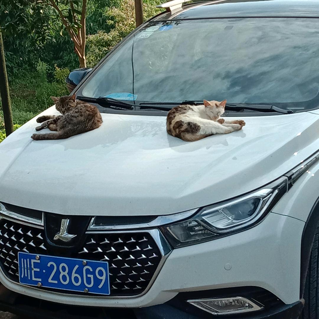 夫复何求