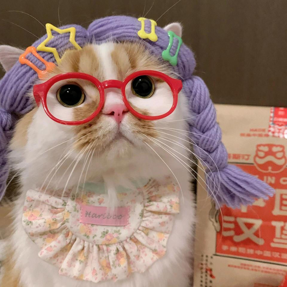 @橘橘子