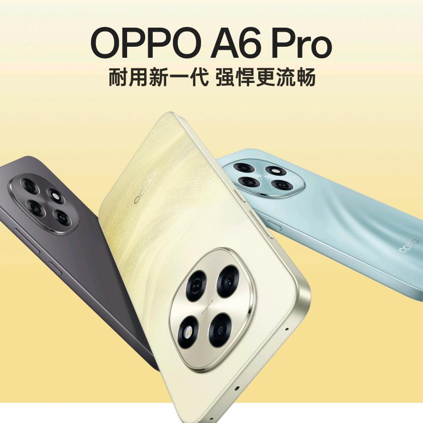 卖手机的芳姐