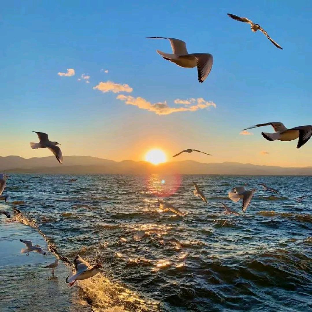 向僵尸开炮-南方