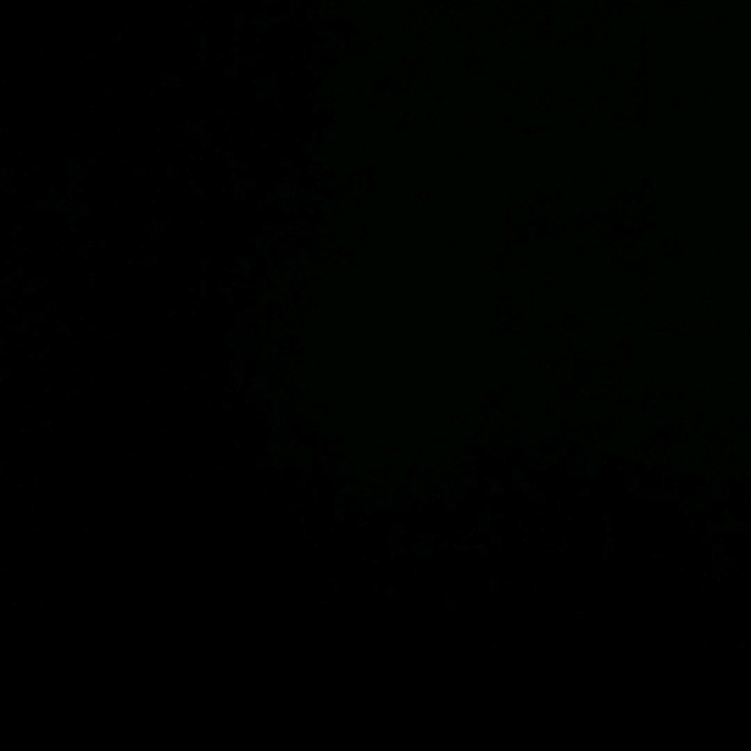 我想杳无音信