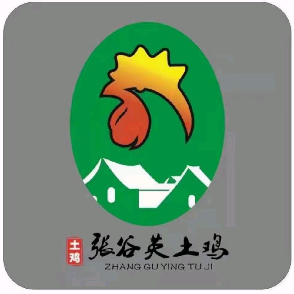 张谷英土鸡🐔