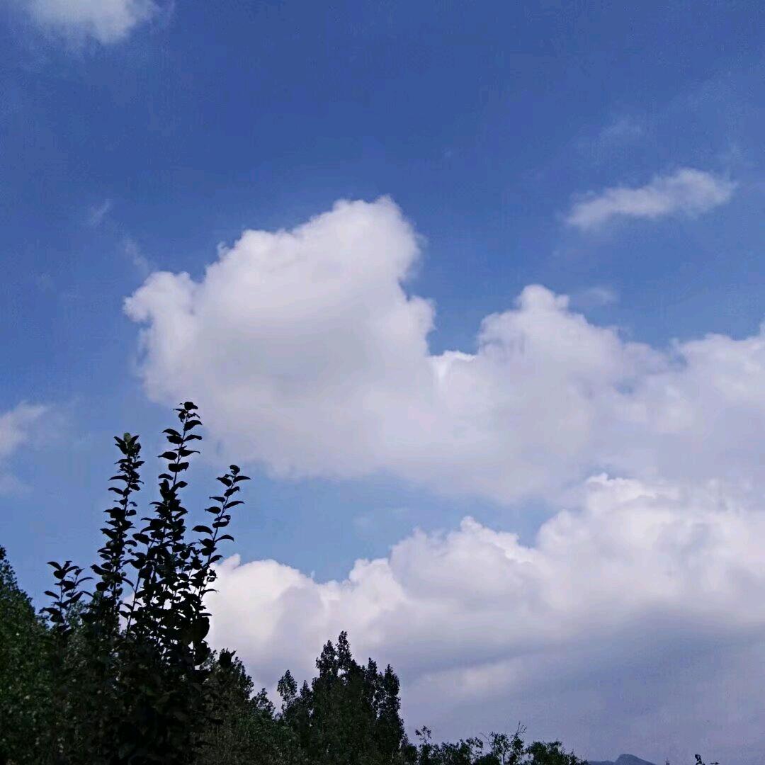 马姐