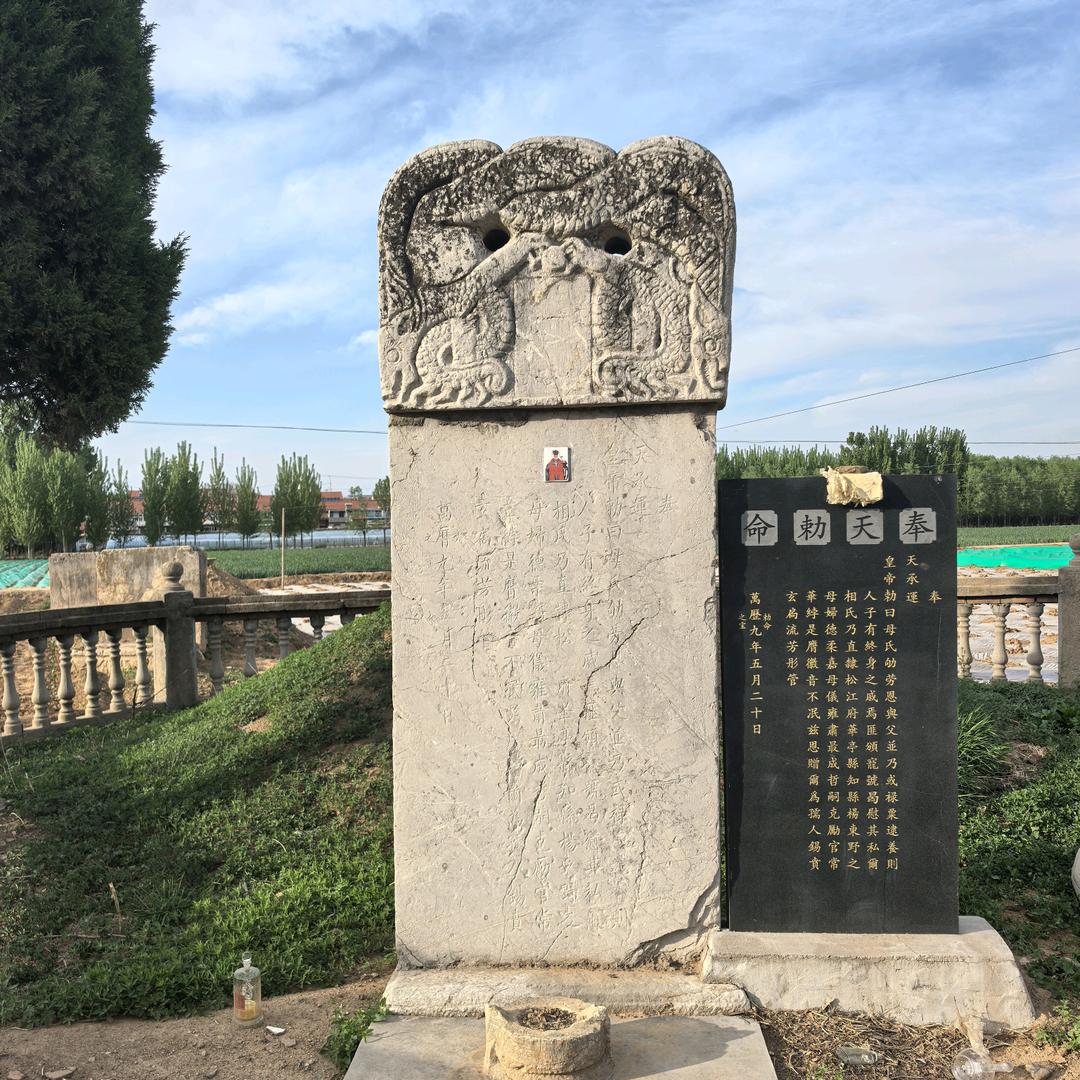 环境与科学张老师