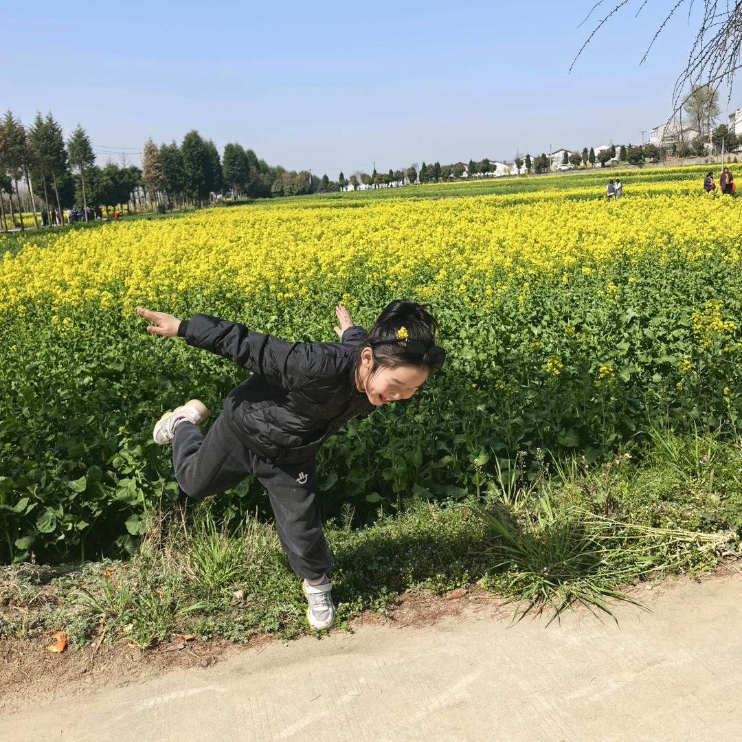 ℳ可惜没如果꧔ꦿ᭄