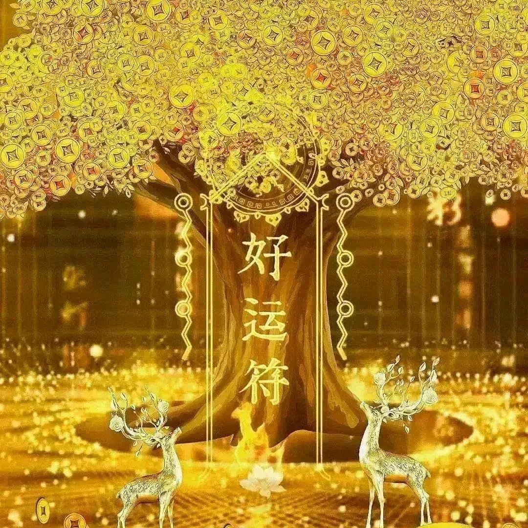 梁哥1679