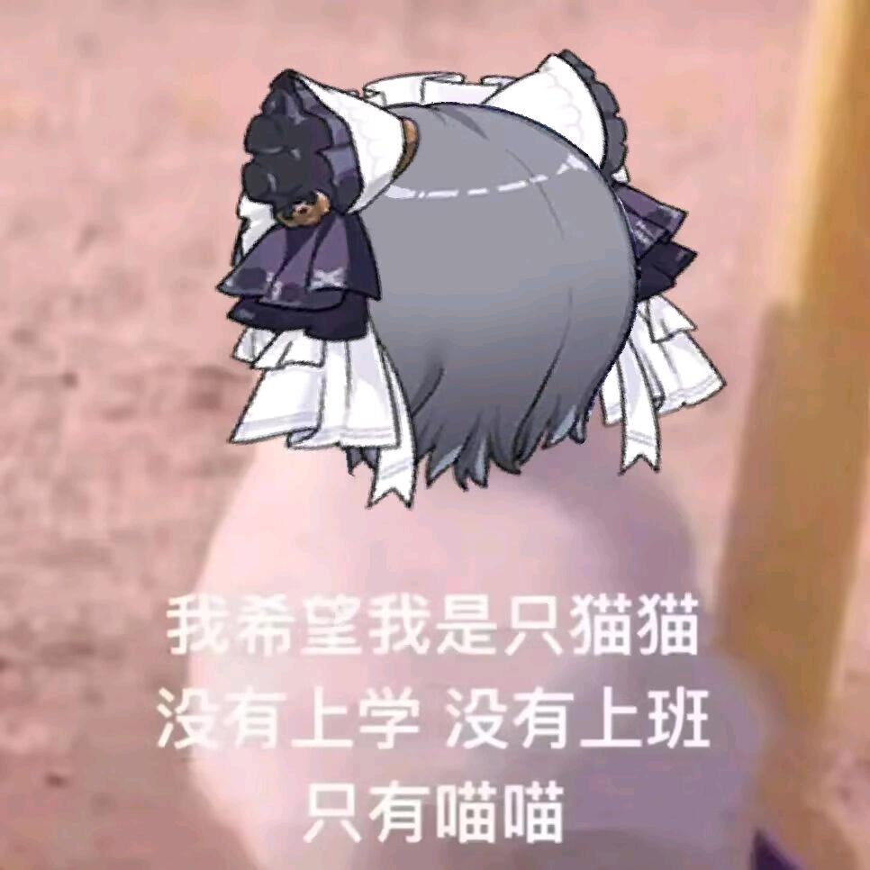 偏爱的例外