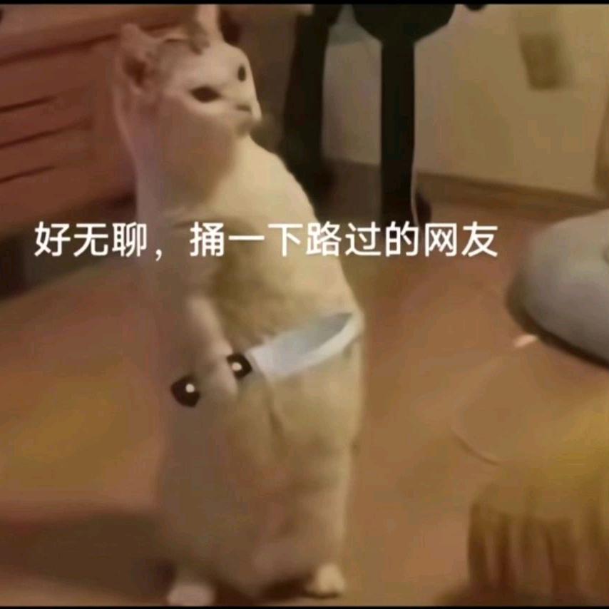 落尘 ͡°ᴥ ͡°
