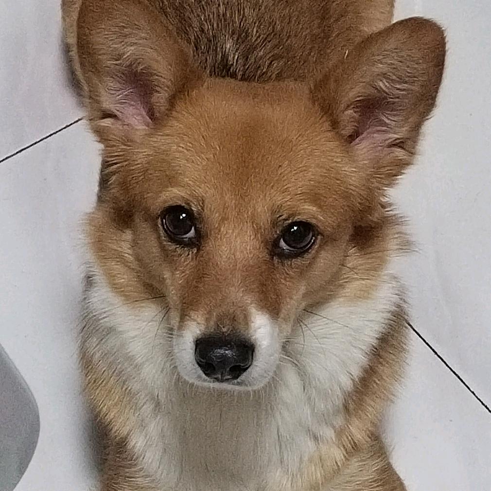娜娜😎