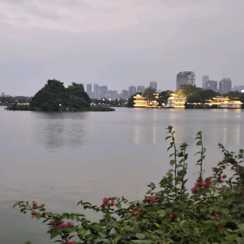 南曦燎原