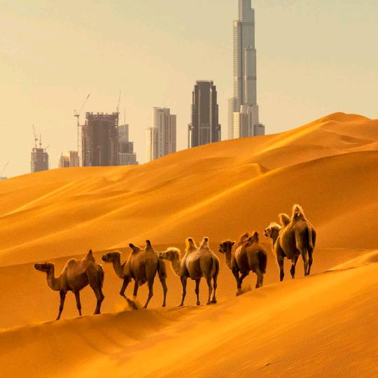 我就是要玩抖音