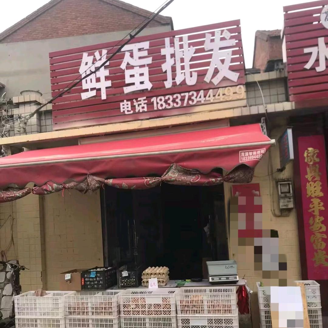 小杨鲜蛋批发官方号