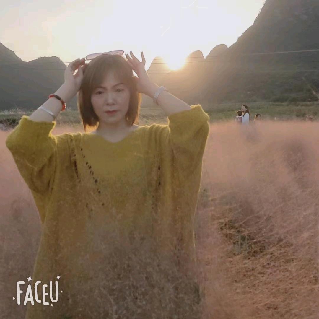 疯狂的芝麻