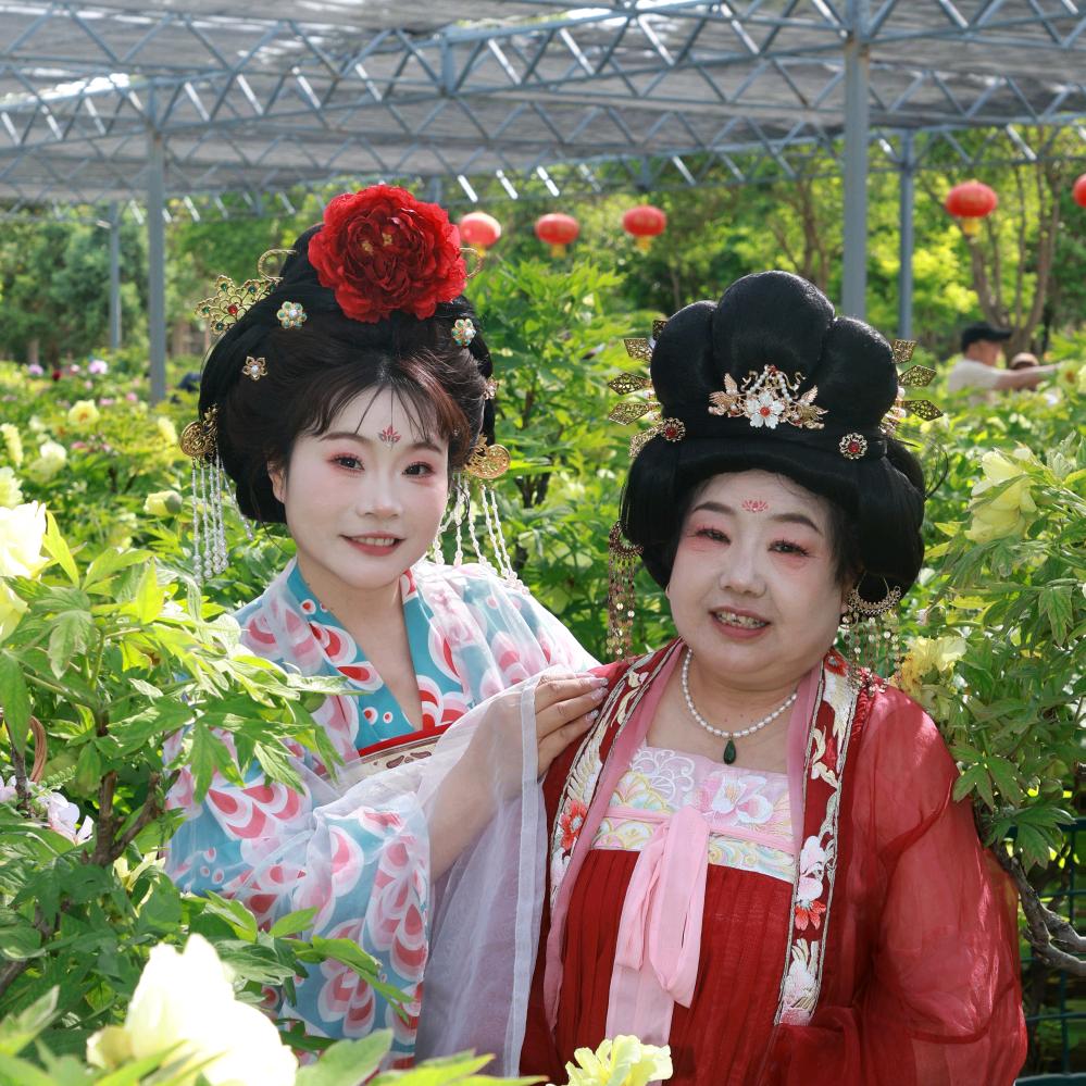 旧日时光难忘情