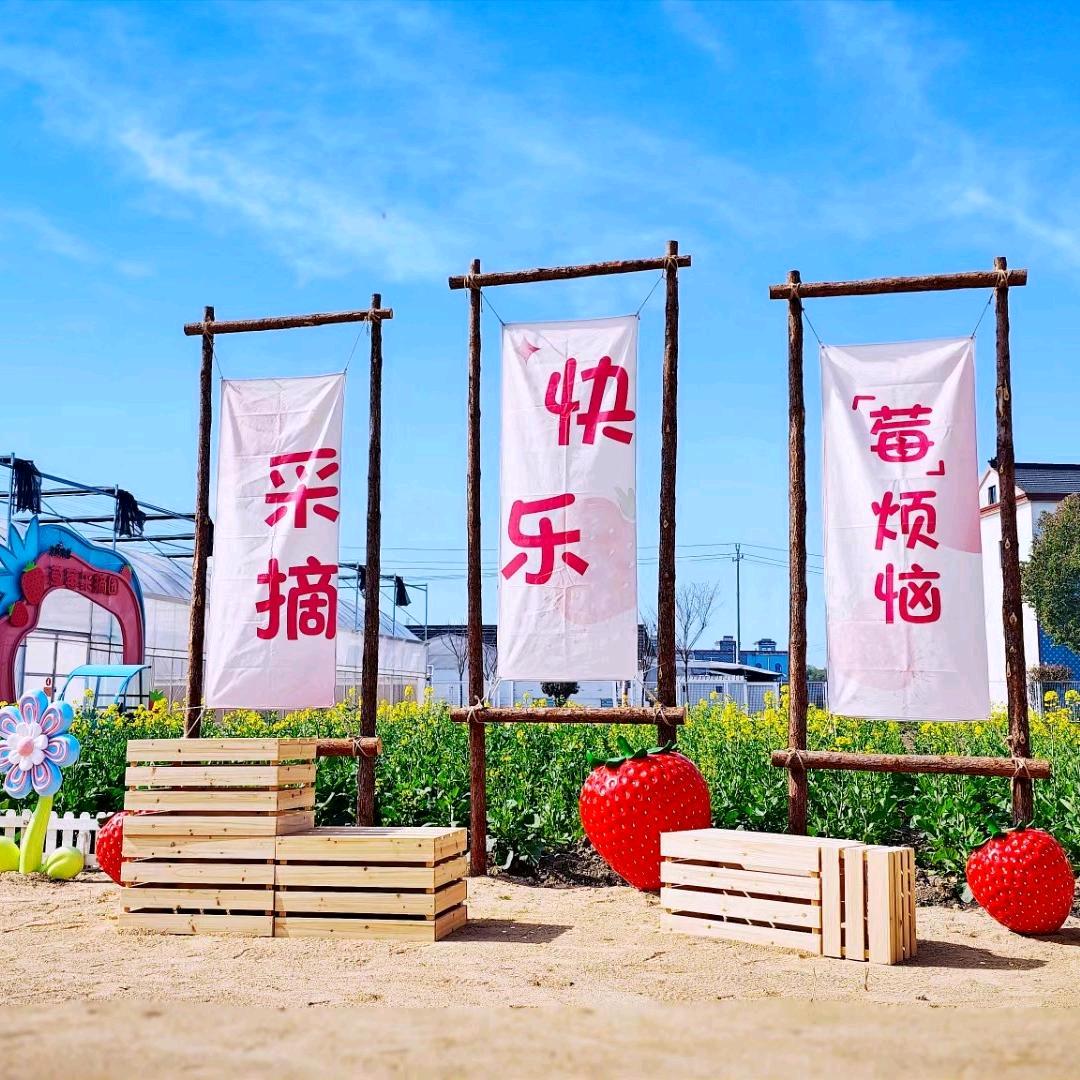 大米哥的多色草莓园