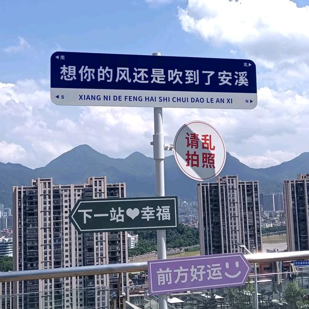 茶姐姐