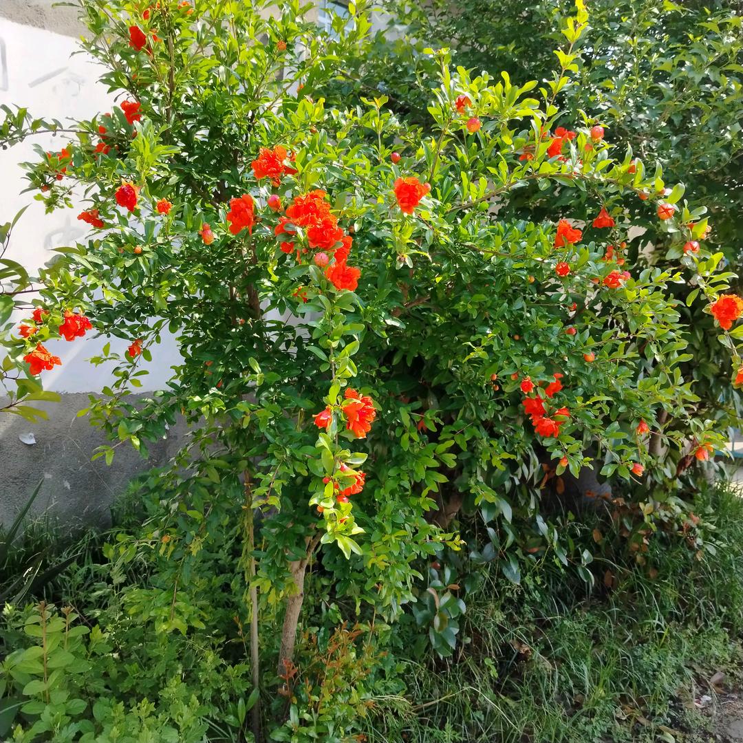 谁懂我心