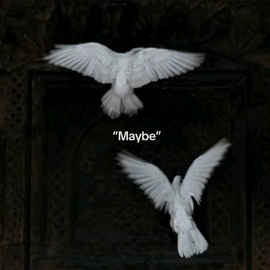 αr z ū  🕊